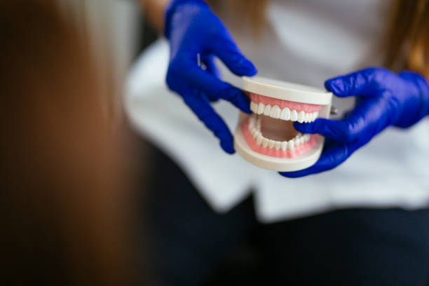 Best Periodontal (Gum) Disease Treatment  in St Leo, FL