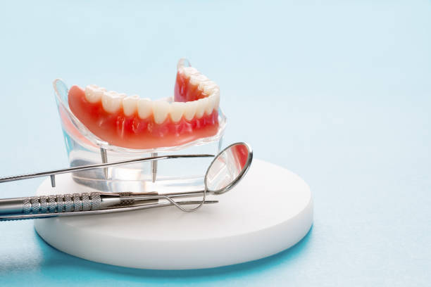 Best Veneers and Lumineers  in St Leo, FL